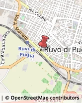 Stazioni di Servizio e Distribuzione Carburanti Ruvo di Puglia,70037Bari