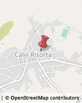 Tipografie Calvi Risorta,81042Caserta