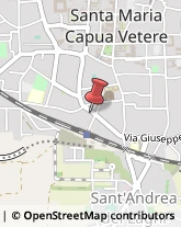 Consulenza Commerciale Santa Maria Capua Vetere,81055Caserta