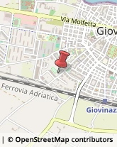 Accademie Giovinazzo,70054Bari