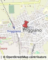 Centri per l'Impiego Triggiano,70019Bari