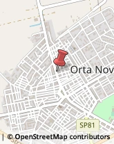 Agenzie Immobiliari Orta Nova,71045Foggia