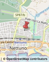 Tabaccherie Nettuno,00048Roma