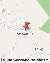 Demolizioni e Scavi Raviscanina,81017Caserta