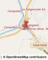 ,86025Campobasso