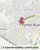 Ostetriche Fonte Nuova,00013Roma