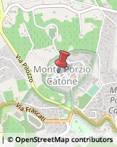 Calzature - Dettaglio Monte Porzio Catone,00040Roma