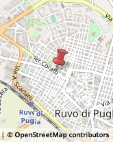 Arredamento - Vendita al Dettaglio Ruvo di Puglia,70037Bari