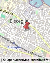 Designers - Studi Bisceglie,76011Barletta-Andria-Trani