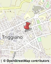 Aziende Agricole Triggiano,70019Bari