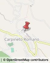 Osterie e Trattorie Carpineto Romano,00032Roma