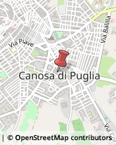 Via Benedetto Brin, 2,70053Canosa di Puglia