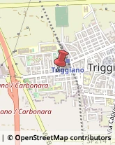 Detersivi e Detergenti Triggiano,70019Bari