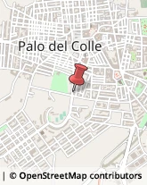 Ortofrutticoltura Palo del Colle,70027Bari