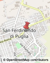 Cardiologia - Medici Specialisti San Ferdinando di Puglia,76017Barletta-Andria-Trani