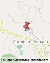 Geometri Carpineto Romano,00032Roma
