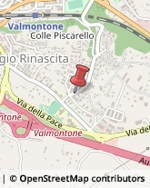 Palestre e Centri Fitness Valmontone,00038Roma