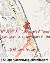 Autotrasporti Termoli,86039Campobasso