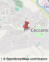 Carne - Lavorazione e Commercio Ceccano,03023Frosinone