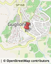 Autolinee Guglionesi,86034Campobasso