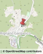 Elettromeccanica Rignano Garganico,71011Foggia