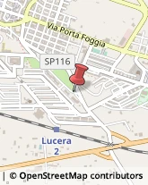 Legname da Costruzione Lucera,71036Foggia