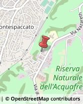 Guarnizioni ed Anelli di Tenuta e d'Arresto,00166Roma