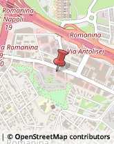 Giocattoli e Giochi - Dettaglio Roma,00173Roma