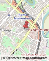 Articoli per Ortopedia,00199Roma