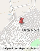 Legatorie Orta Nova,71045Foggia