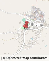 Aziende Agricole Bovino,71023Foggia