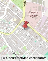 Dietologia - Medici Specialisti Foggia,71122Foggia