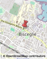 Libri - Deposito Bisceglie,76011Barletta-Andria-Trani