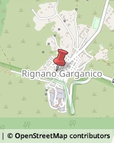 Cancelleria Rignano Garganico,71010Foggia
