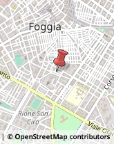 Pelli per Pellicceria Foggia,71121Foggia