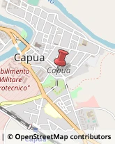 Commercio Elettronico - Società Capua,81043Caserta