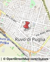 Borse - Dettaglio Ruvo di Puglia,70032Bari