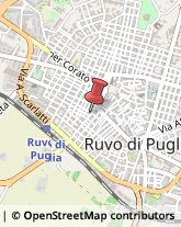 Avvocati Ruvo di Puglia,70037Bari