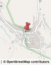 Carte di Credito - Servizi Carpino,71010Foggia