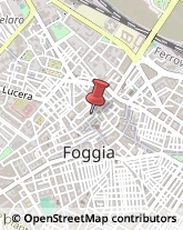 Articoli Sportivi - Dettaglio Foggia,71121Foggia