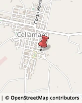 Erboristerie Cellamare,70018Bari