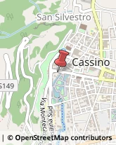 Piante e Fiori - Dettaglio Cassino,03043Frosinone