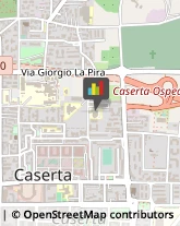 Zootecnia - Centri Riproduzione e Sperimentazione Caserta,81100Caserta