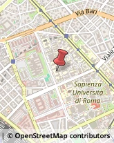 Otorinolaringoiatria - Medici Specialisti Roma,00161Roma