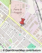 Consulenze Speciali Foggia,71100Foggia