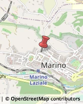 Aziende Agricole Marino,00040Roma