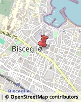 Occhiali - Produzione e Ingrosso Bisceglie,76011Barletta-Andria-Trani