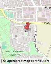 Via Aldo Balma, 18,00155Roma