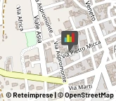Palestre e Centri Fitness,73049Lecce
