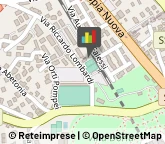 Locali, Birrerie e Pub,00041Roma